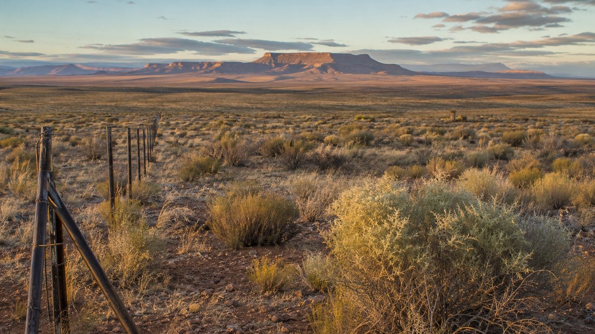 Wide Arizona desert landscape with distant mesas and a fence line.